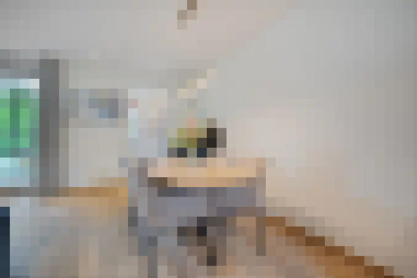 Koningsspil 9 Raalte thumbnail 14