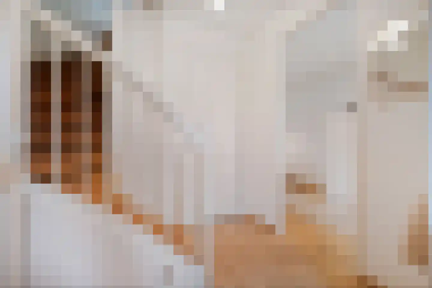 Koningsspil 9 Raalte thumbnail 18
