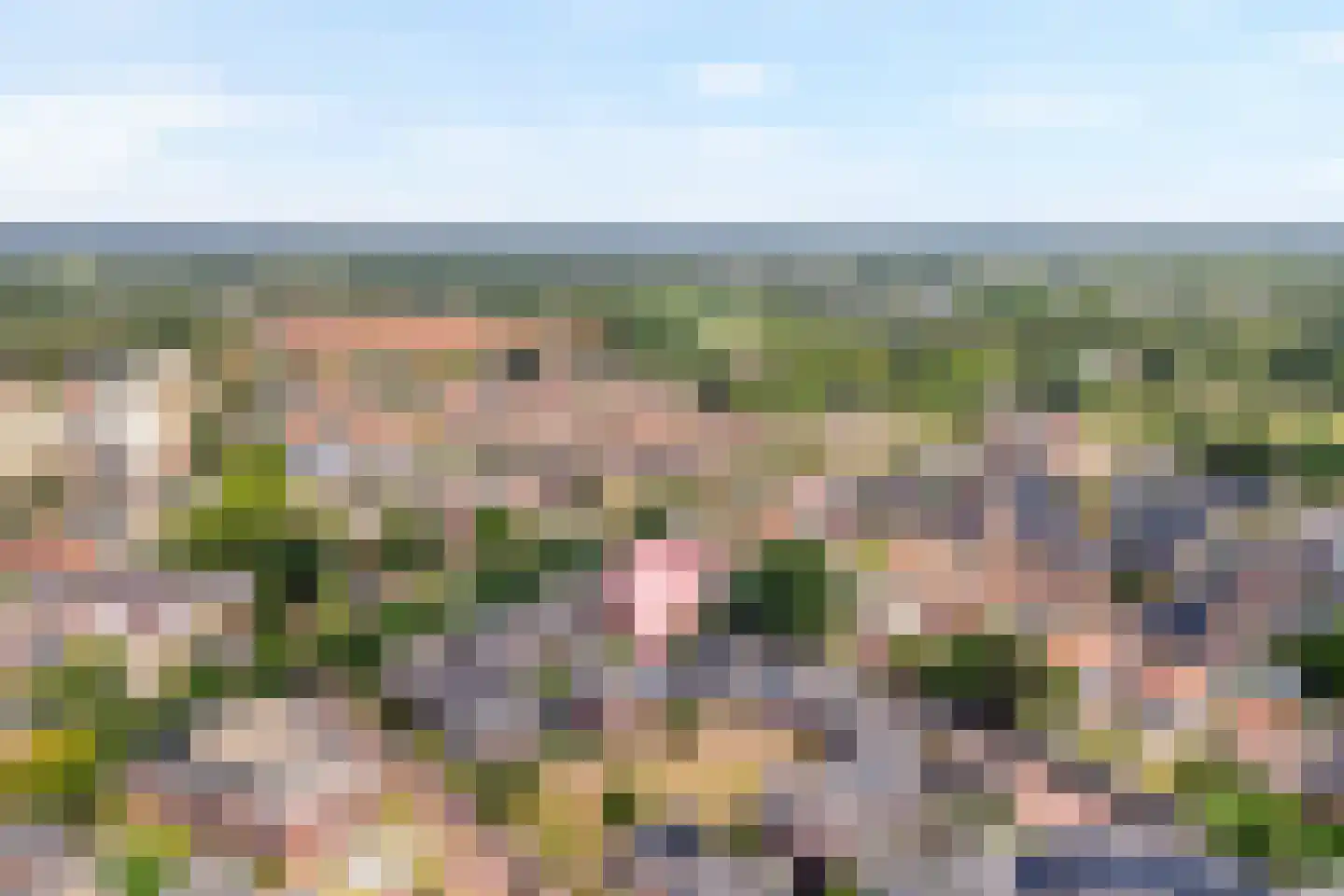 Koningsspil 9 Raalte thumbnail 4