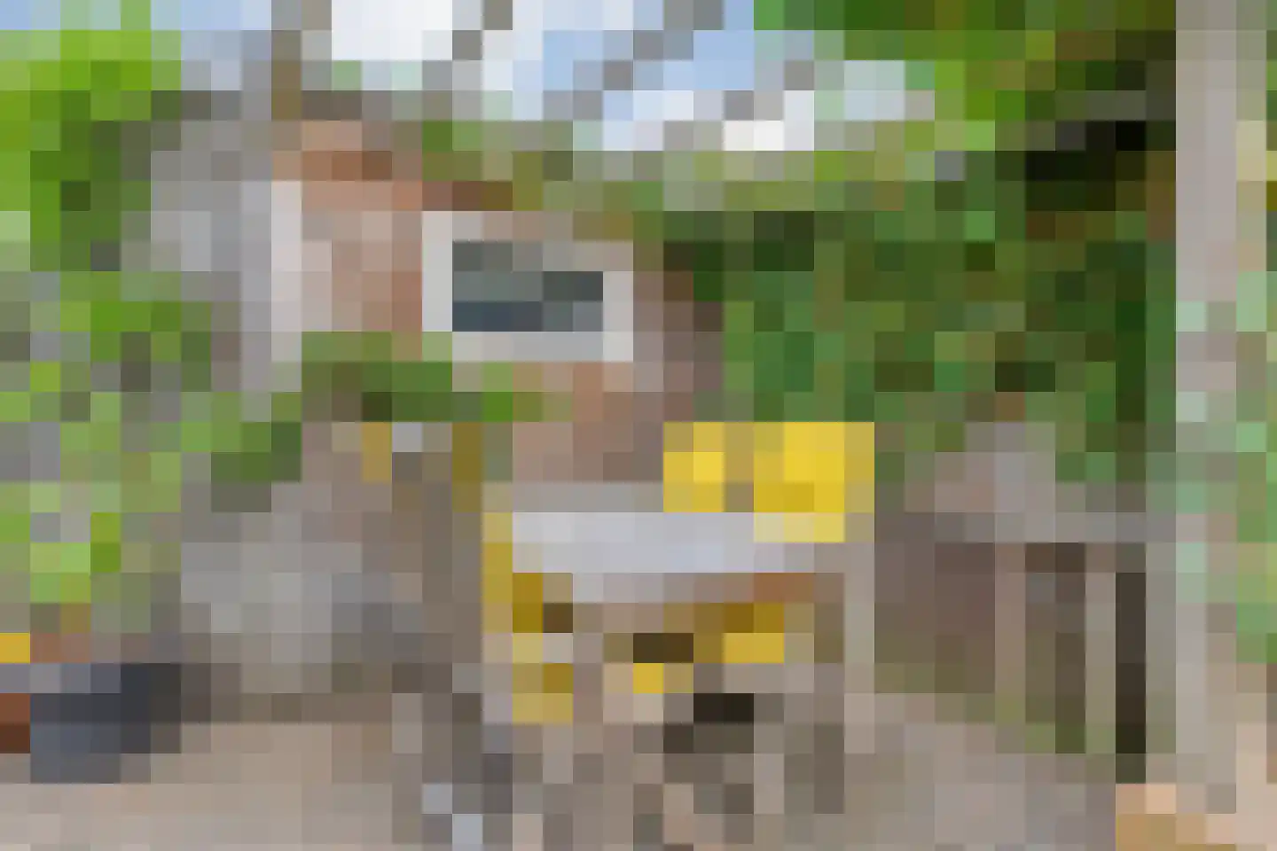 Koningsspil 9 Raalte thumbnail 40