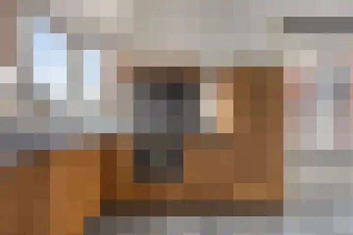 Koningsspil 9 Rijkevoort thumbnail 10