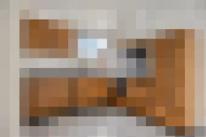 Koningsspil 9 Rijkevoort thumbnail 11