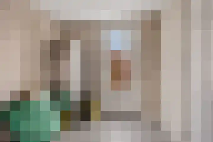 Koningsspil 9 Rijkevoort thumbnail 19