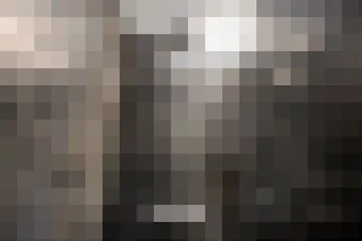 Koningsspil 9 Rijkevoort thumbnail 32