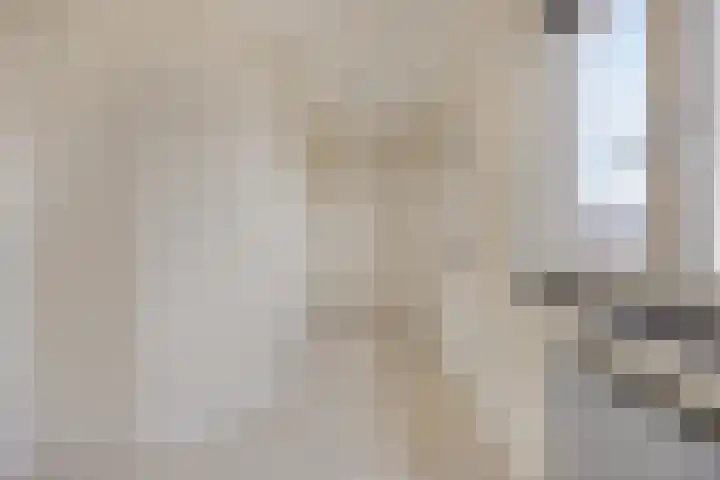 Koningsspil 9 Rijkevoort thumbnail 35