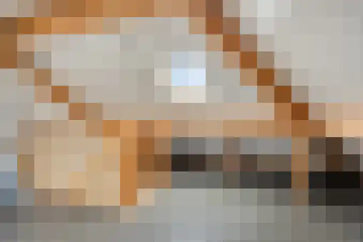 Koningsspil 9 Rijkevoort thumbnail 36