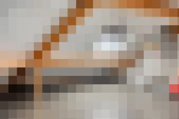 Koningsspil 9 Rijkevoort thumbnail 37