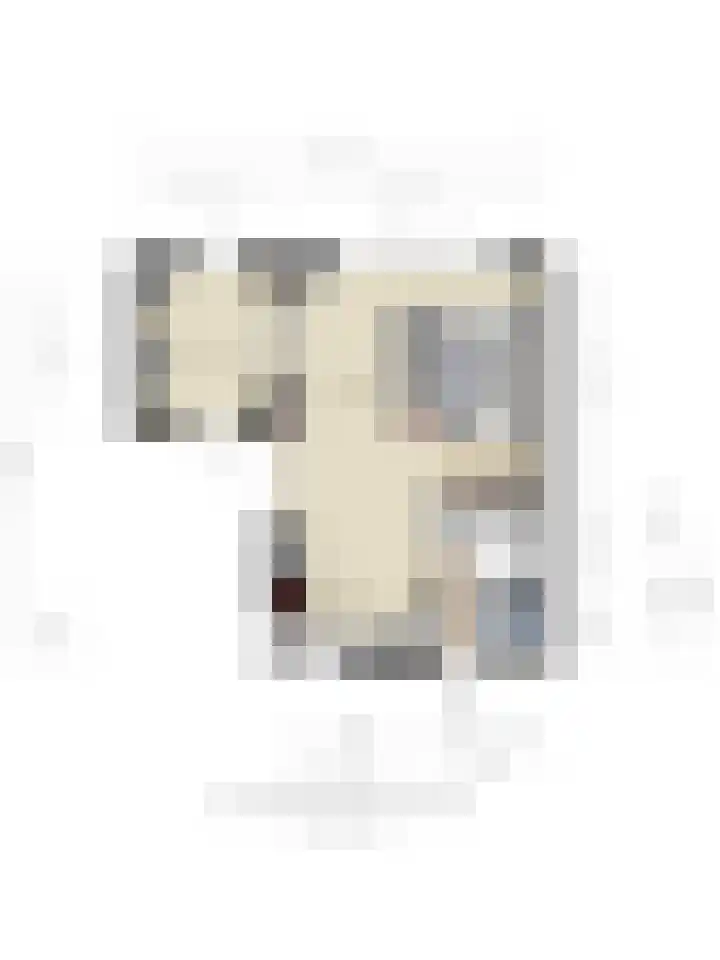Koningsspil 9 Rijkevoort thumbnail 41
