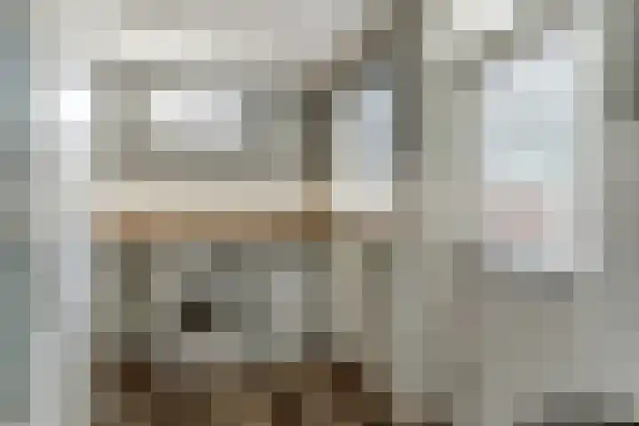 Koningsspilstraat 18 Culemborg thumbnail 17