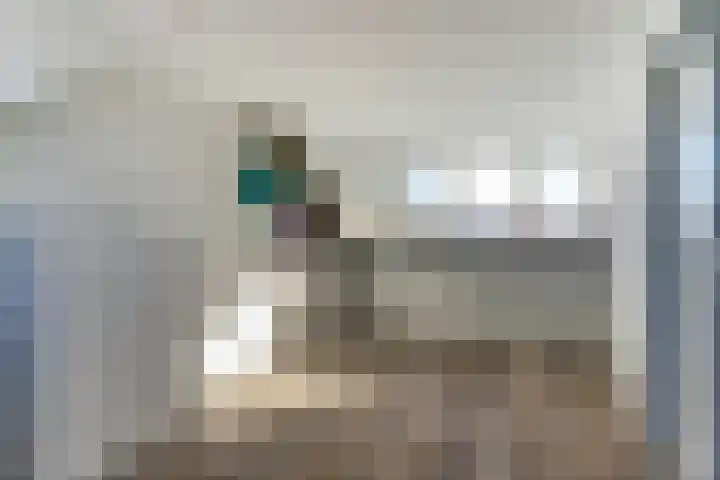 Koningsspilstraat 18 Culemborg thumbnail 38