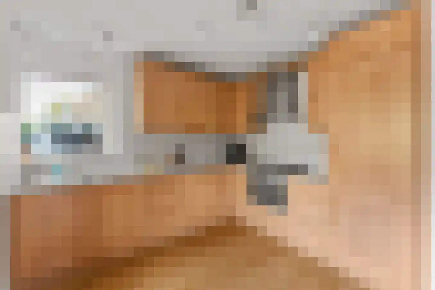 Koningsspoor 11 Houten thumbnail 10