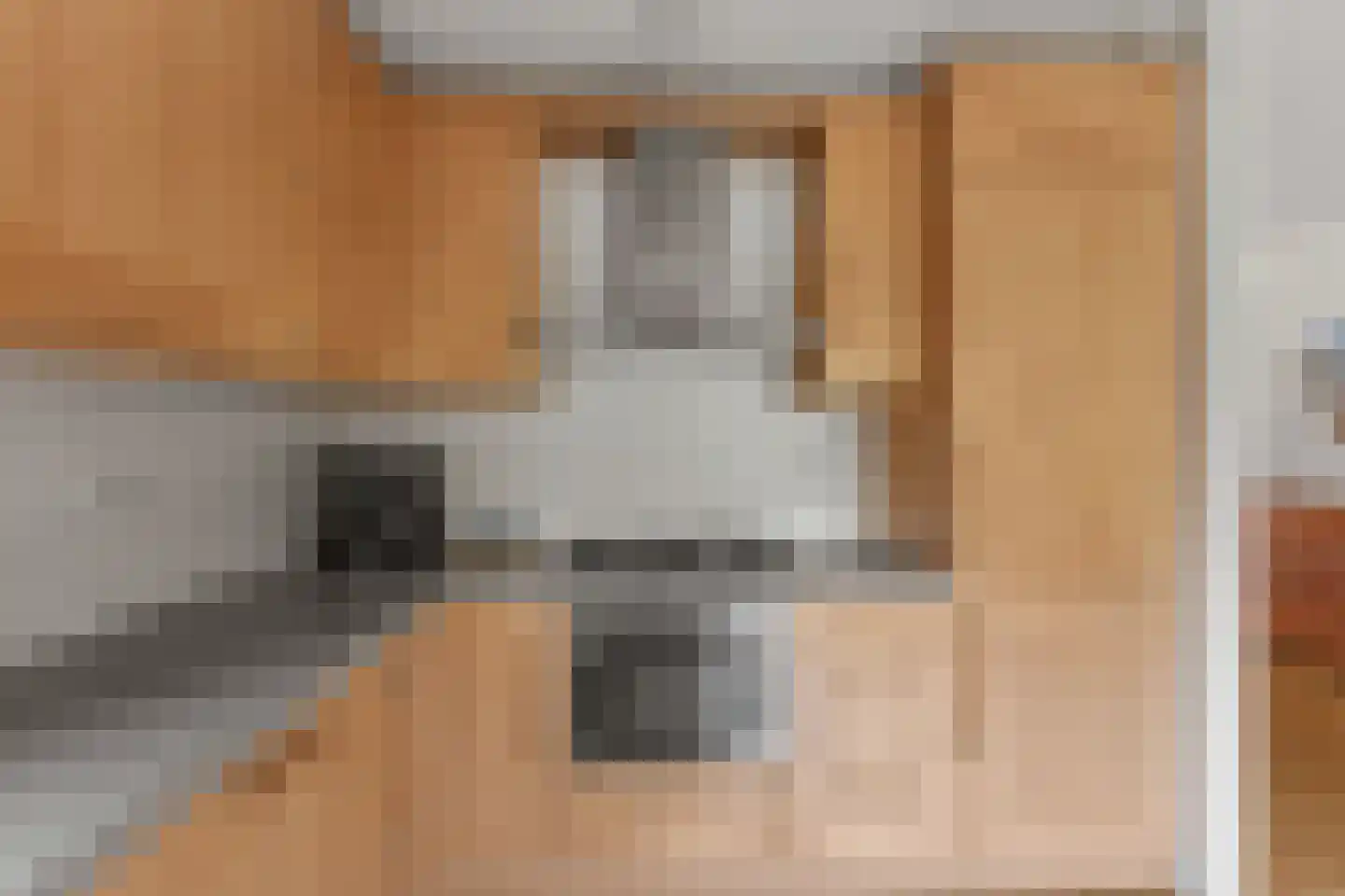 Koningsspoor 11 Houten thumbnail 11