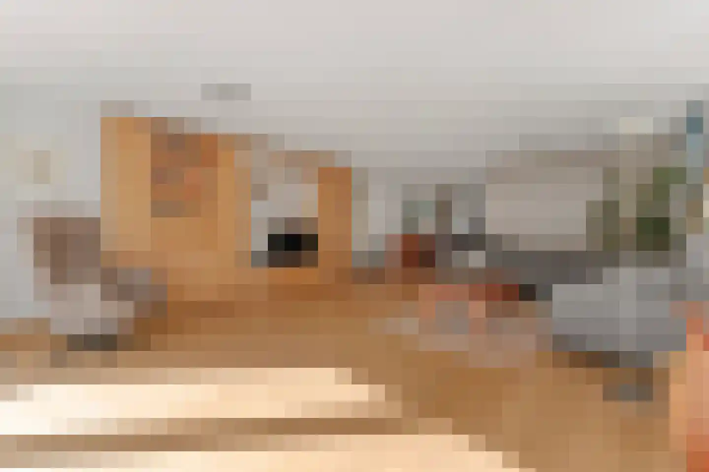 Koningsspoor 11 Houten thumbnail 5