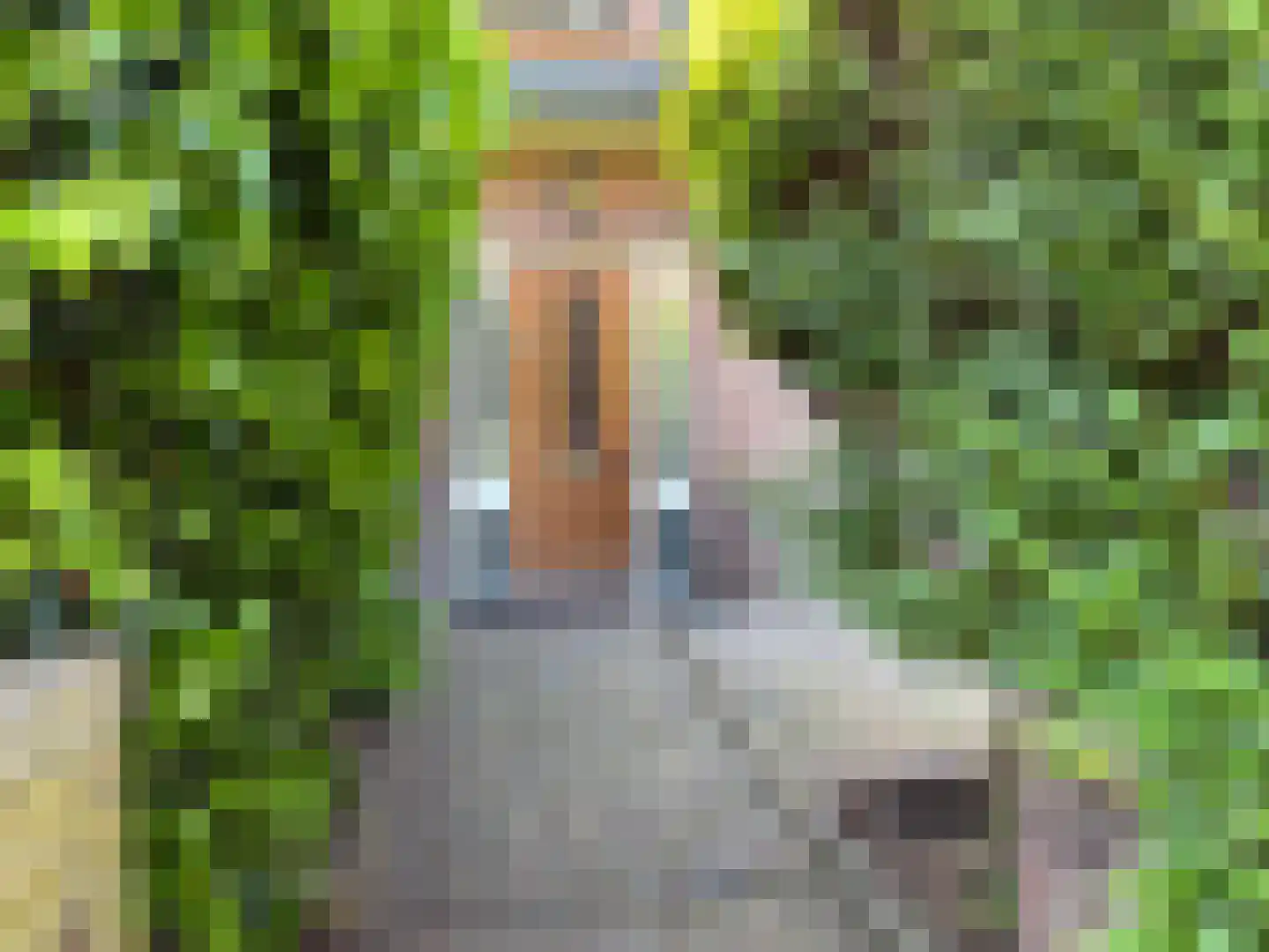 Koningsstraat 10 Hilversum thumbnail 4