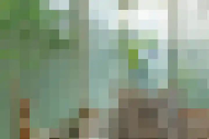 Koningsstraat 106 Hilversum thumbnail 9