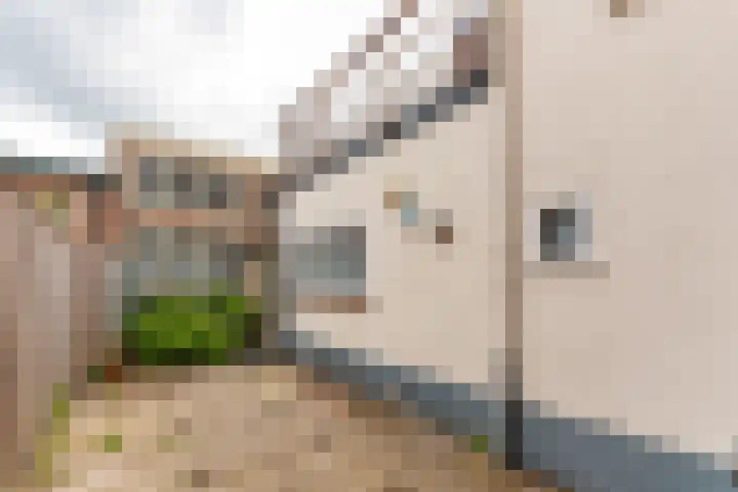 Koningsstraat 111 A Hilversum thumbnail 15