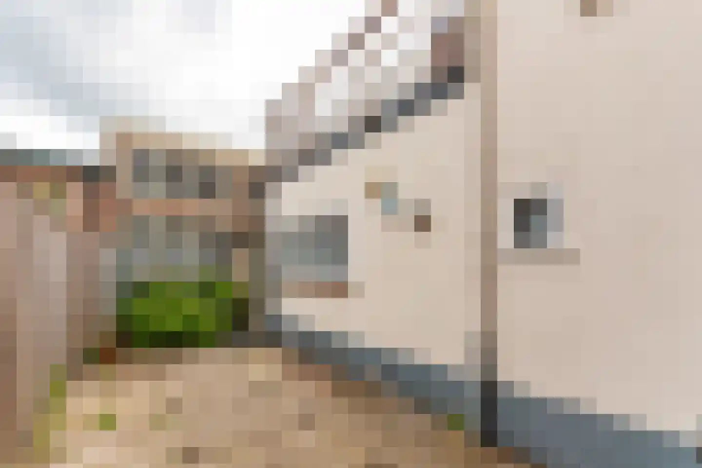 Koningsstraat 111 A Hilversum thumbnail 6