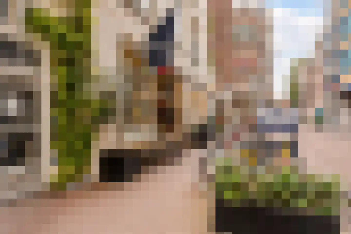 Koningsstraat 15 Amsterdam thumbnail 17