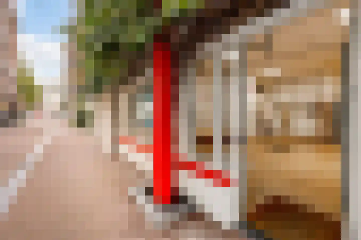 Koningsstraat 15 Amsterdam thumbnail 5