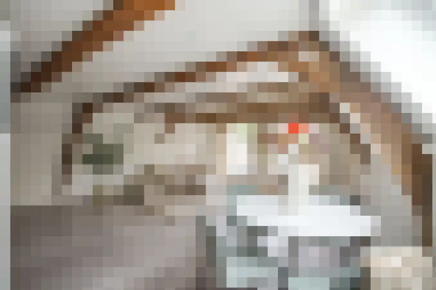 Koningsstraat 23 Alkmaar thumbnail 15
