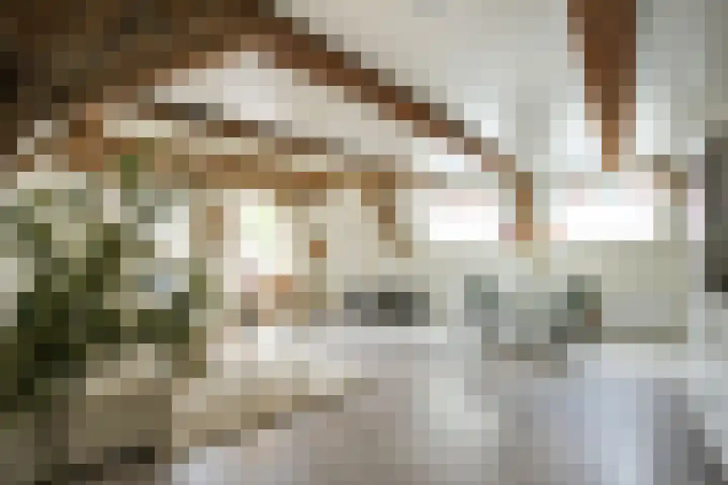 Koningsstraat 23 Alkmaar thumbnail 4