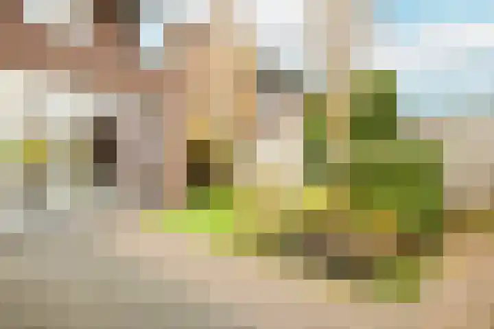 Koningsstraat 36 Aalsmeer thumbnail 43