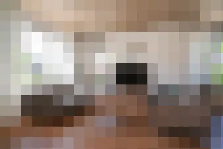 Koningsstraat 6 Wamel thumbnail 4