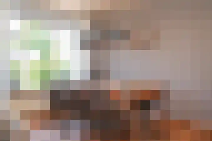 Koningsstraat 6 Wamel thumbnail 5