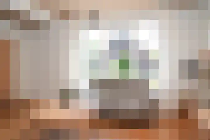 Koningsstraat 6 Wamel thumbnail 7