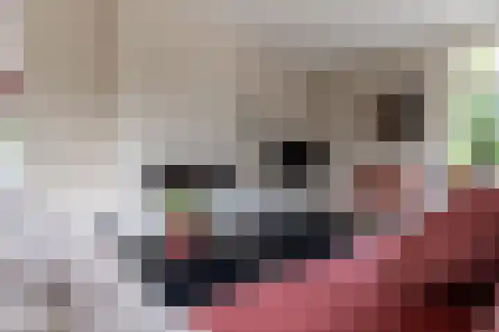 Koningsstraat 7 Haaften thumbnail 13