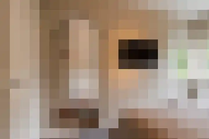 Koningsstraat 7 Haaften thumbnail 29