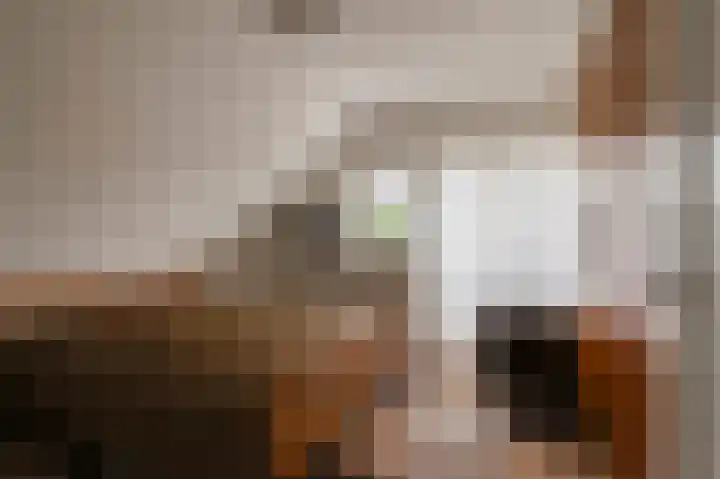 Koningsstraat 7 Haaften thumbnail 32