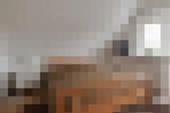 Koningsstraat 7 Haaften thumbnail 33