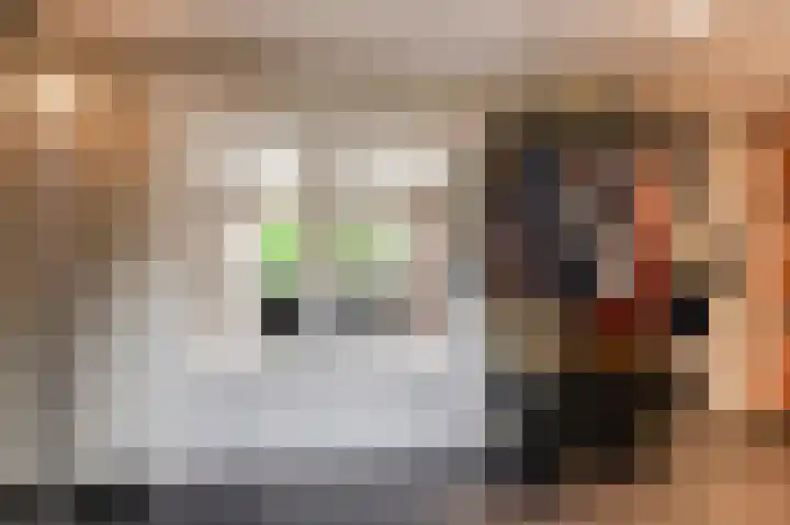 Koningsstraat 7 Haaften thumbnail 4