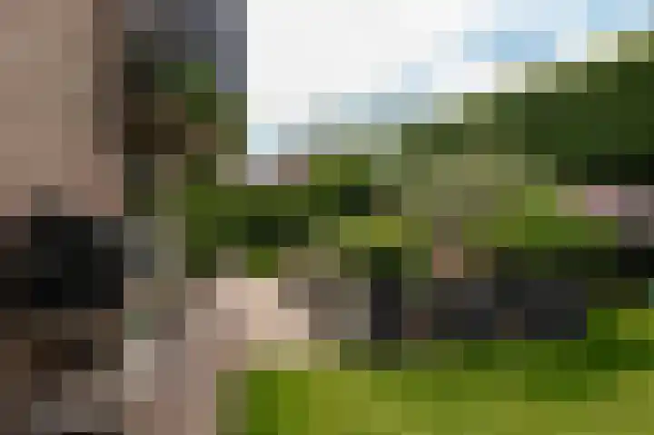 Koningsstraat 7 Haaften thumbnail 43