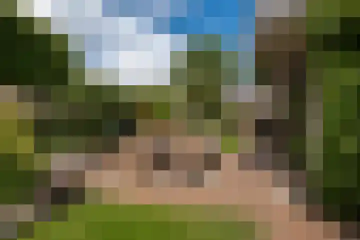 Koningsstraat 7 Haaften thumbnail 46