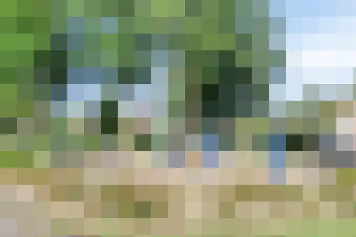 Koningsstraat 7 Loon op Zand thumbnail 33