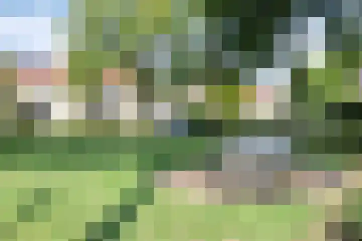 Koningsstraat 7 Loon op Zand thumbnail 34