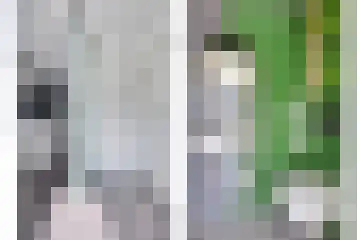 Koningsstraat 7 Loon op Zand thumbnail 8