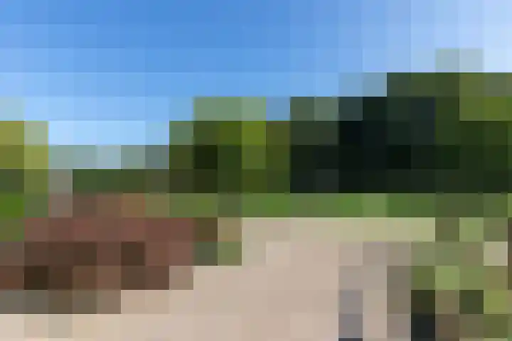 Koningsstraat 9 Zeddam thumbnail 43