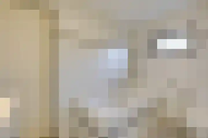Koningsstraat 9 Zeddam thumbnail 69