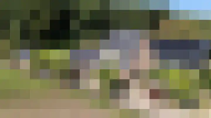 Koningsstraat 9 Zeddam thumbnail 7