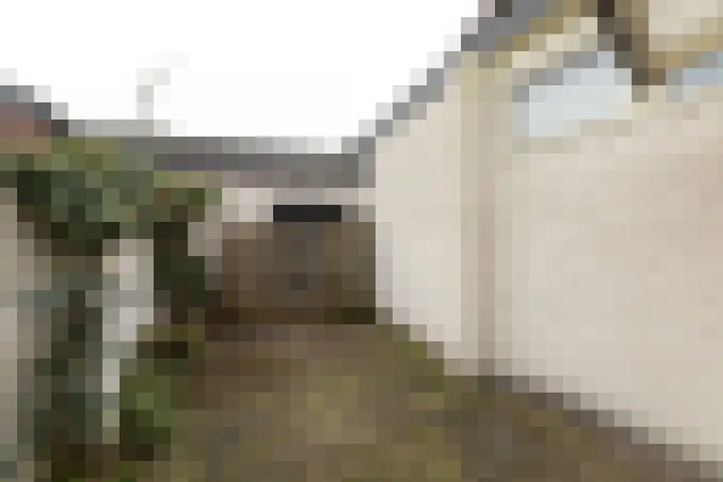 Koningsstraat 95 Hilversum thumbnail 6