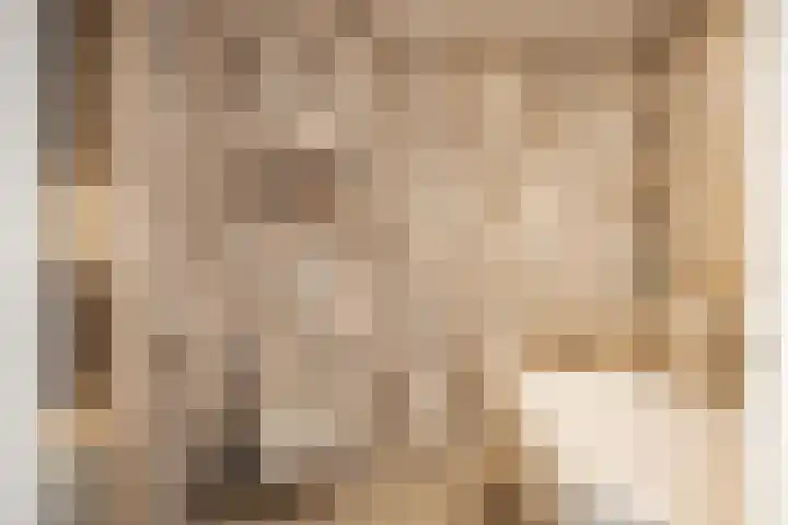 Koningsteinstraat 41 Haarlem thumbnail 24