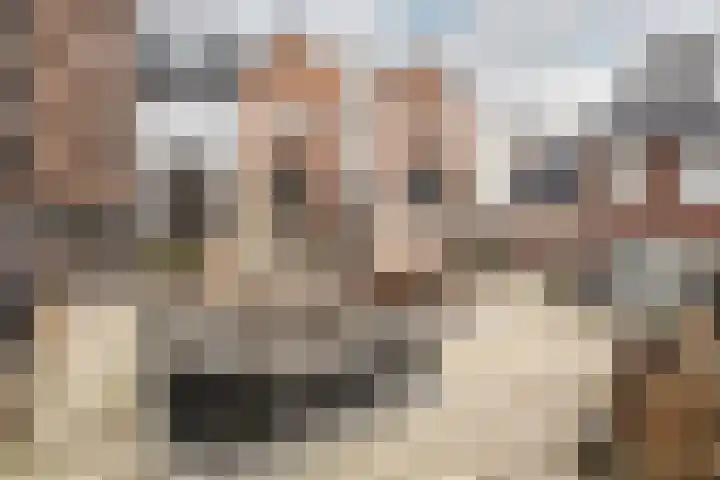 Koningsteinstraat 41 Haarlem thumbnail 35