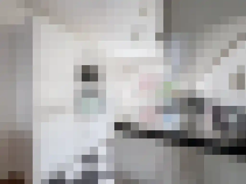 Koningsteinstraat 9 Haarlem thumbnail 4