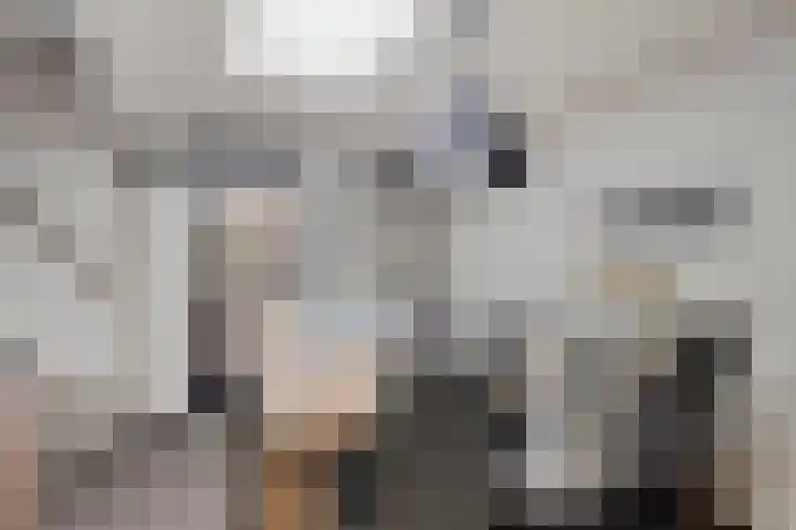 Koningstraat 1 Haaren thumbnail 17