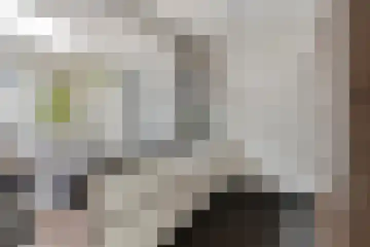 Koningstraat 1 Haaren thumbnail 20