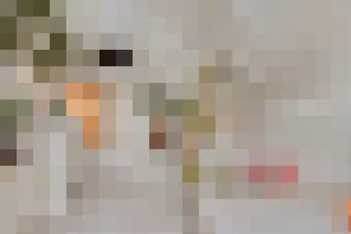 Koningstraat 1 Haaren thumbnail 28