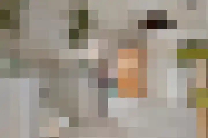 Koningstraat 1 Haaren thumbnail 29